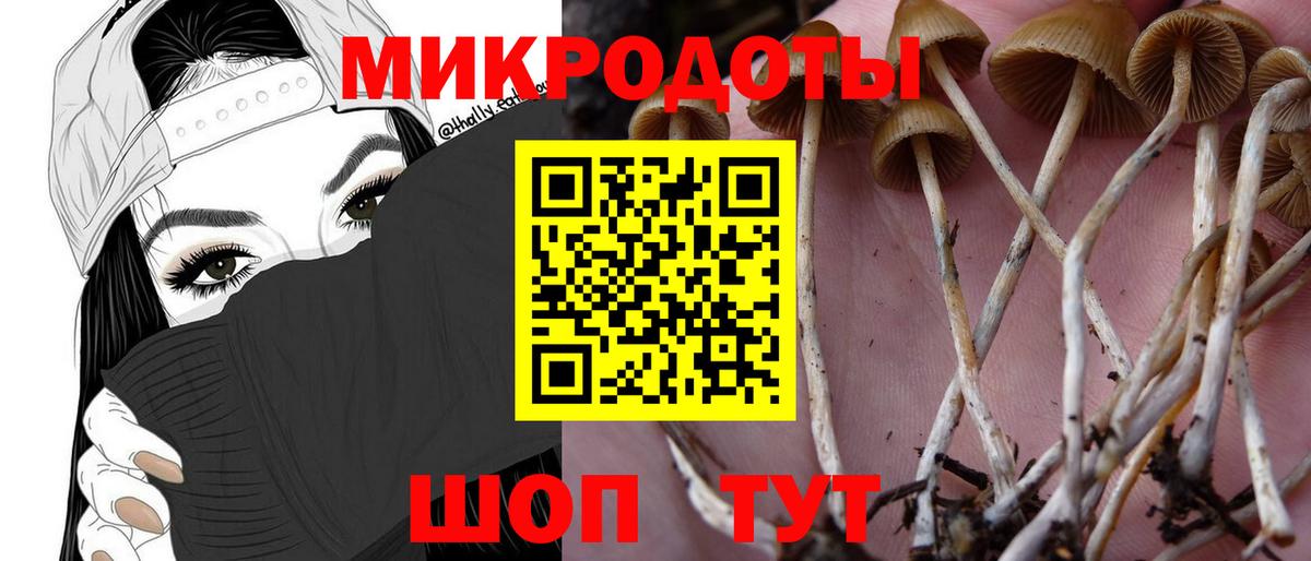 Галлюциногенные грибы Cubensis  Галлюциногенные грибы Cubensis  Лысьва  Вход с VPN 